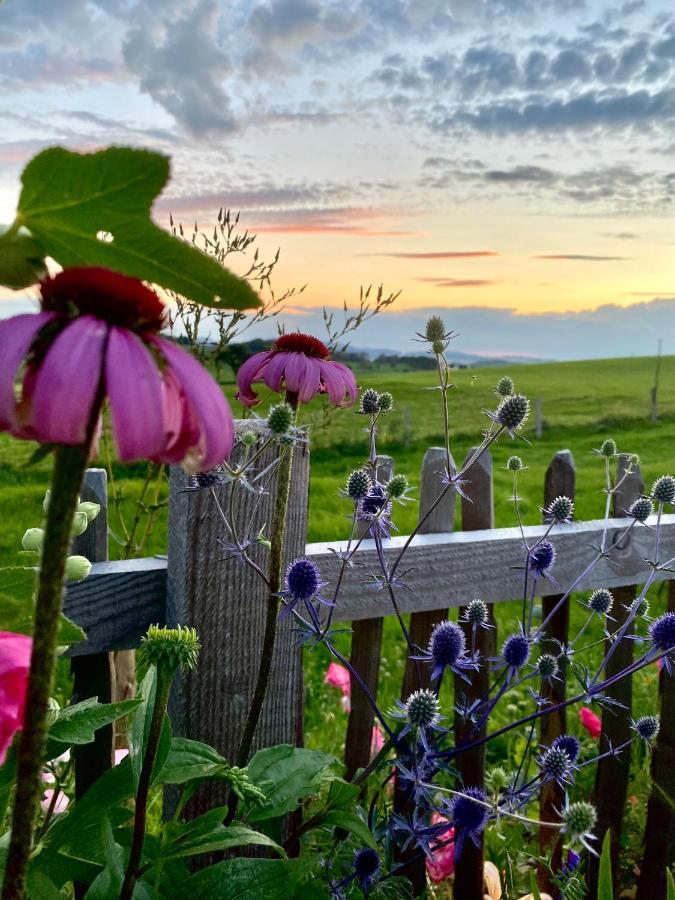 Chalet Bergliebe Brilon Dış mekan fotoğraf