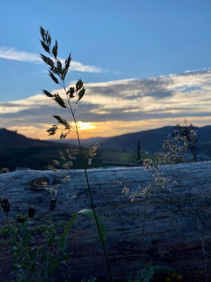 Chalet Bergliebe Brilon Dış mekan fotoğraf