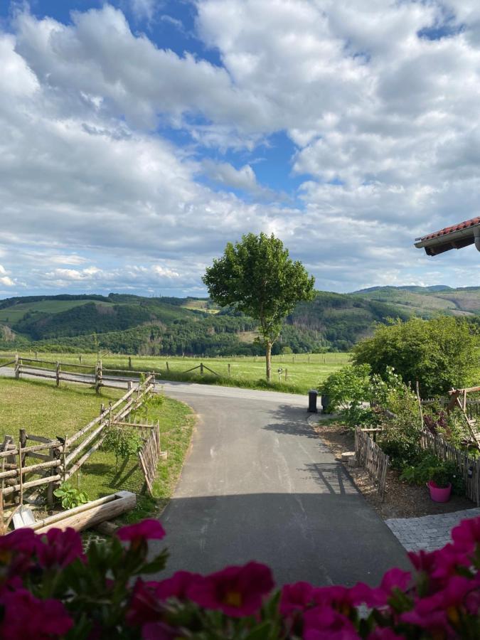 Chalet Bergliebe Brilon Dış mekan fotoğraf